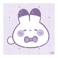 Bun Microfiber Cloth