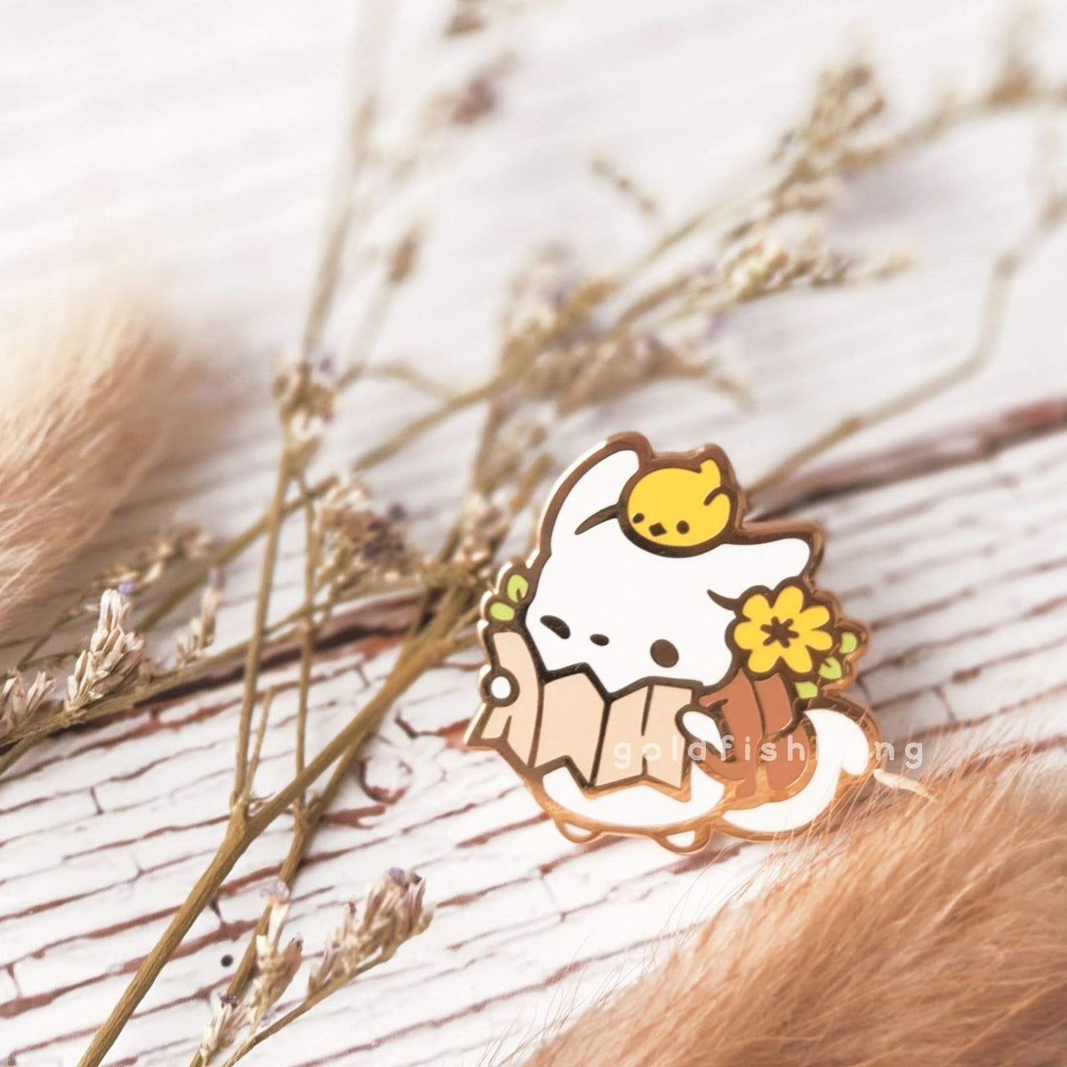 Little Adventurer