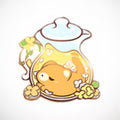 Pitcher Kitty